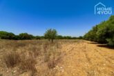 Finca-Neubau: 27.000 qm Baugrundstück, alte Steinmauern, geschützte & ruhige Lage unweit der Stadt - Details