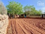 Idylle pur: Finca 100 qm, Pool, Solar, Brunnen und Nebengebäude auf 21.000 qm Area mit Steinmauern. - Grundstück
