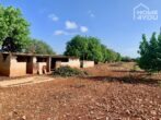 Idylle pur: Finca 100 qm, Pool, Solar, Brunnen und Nebengebäude auf 21.000 qm Area mit Steinmauern. - Grundstück