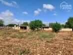 Idylle pur: Finca 100 qm, Pool, Solar, Brunnen und Nebengebäude auf 21.000 qm Area mit Steinmauern. - Grundstück