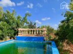 Idylle pur: Finca 100 qm, Pool, Solar, Brunnen und Nebengebäude auf 21.000 qm Area mit Steinmauern. - Pool