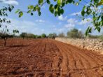 Idylle pur: Finca 100 qm, Pool, Solar, Brunnen und Nebengebäude auf 21.000 qm Area mit Steinmauern. - Grundstück