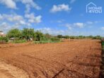 Idylle pur: Finca 100 qm, Pool, Solar, Brunnen und Nebengebäude auf 21.000 qm Area mit Steinmauern. - Eingang Grundstück