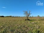 Attraktives Baugrundstück 14.260 qm in leichter Höhenlage Felanitx-Manacor mit bestechendem Ausblick - Grundstück