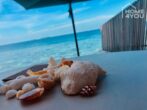 Attraktives Baugrundstück 14.260 qm in leichter Höhenlage Felanitx-Manacor mit bestechendem Ausblick - Chill out