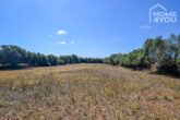 Finca-Leben in absoluter Ruhe unweit Ses Salines, 15.000 qm Grundstück, Mandelbäume, Steinmauern - Grundstück