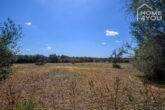 Finca-Leben in absoluter Ruhe unweit Ses Salines, 15.000 qm Grundstück, Mandelbäume, Steinmauern - Grundstück