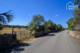 Finca-Leben in absoluter Ruhe unweit Ses Salines, 15.000 qm Grundstück, Mandelbäume, Steinmauern - Straße