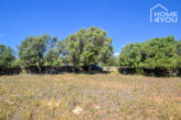 Finca-Leben in absoluter Ruhe unweit Ses Salines, 15.000 qm Grundstück, Mandelbäume, Steinmauern - Grundstück