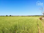 Finca-Baugrundstück mit Traumblick auf Sant Salvador und viel Weite sucht Bauherrn auf 22.000 qm. - Grundstück