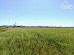 Finca-Baugrundstück mit Traumblick auf Sant Salvador und viel Weite sucht Bauherrn auf 22.000 qm. - Finca 3