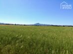 Finca-Baugrundstück mit Traumblick auf Sant Salvador und viel Weite sucht Bauherrn auf 22.000 qm. - Grundstück