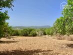 Preissensation: 3.200 qm Finca-Grundstück in Top-Lage für Landwirtschaft oder entspannte Stunden. - Aussicht Bergen