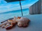 Solides Stadthaus, 265 qm, zentrale Lage, Innenhof, Kamin, Zentralheizung zum sofortigen Einzug. - Chill out