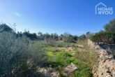 Zentrales Baugrundstück, 15.400 qm, alte Steinmauern und unweit Strand, Meerblick, leichte Hanglage - Grundstück