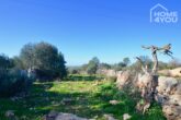 Zentrales Baugrundstück, 15.400 qm, alte Steinmauern und unweit Strand, Meerblick, leichte Hanglage - Steinmauer